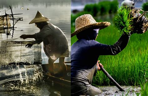 DA pushes for 'climate resilient' programs .